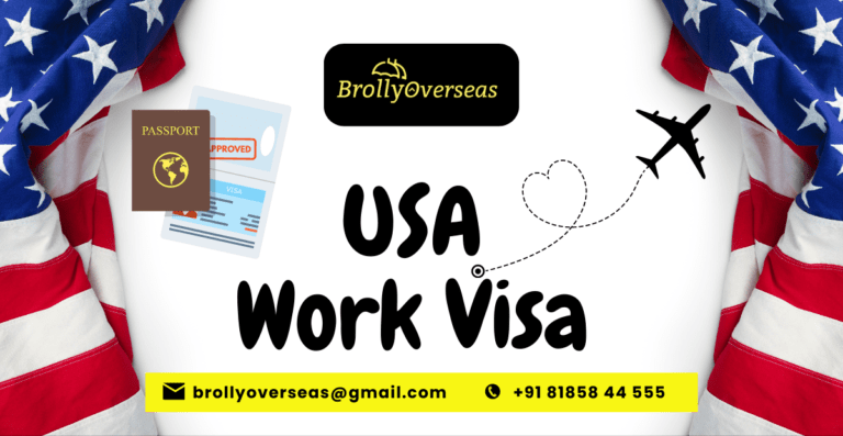 usa work visa